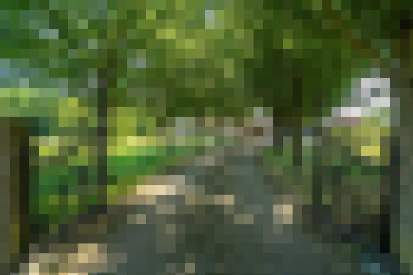 Binnenweg 10 A Nijeholtpade thumbnail 7