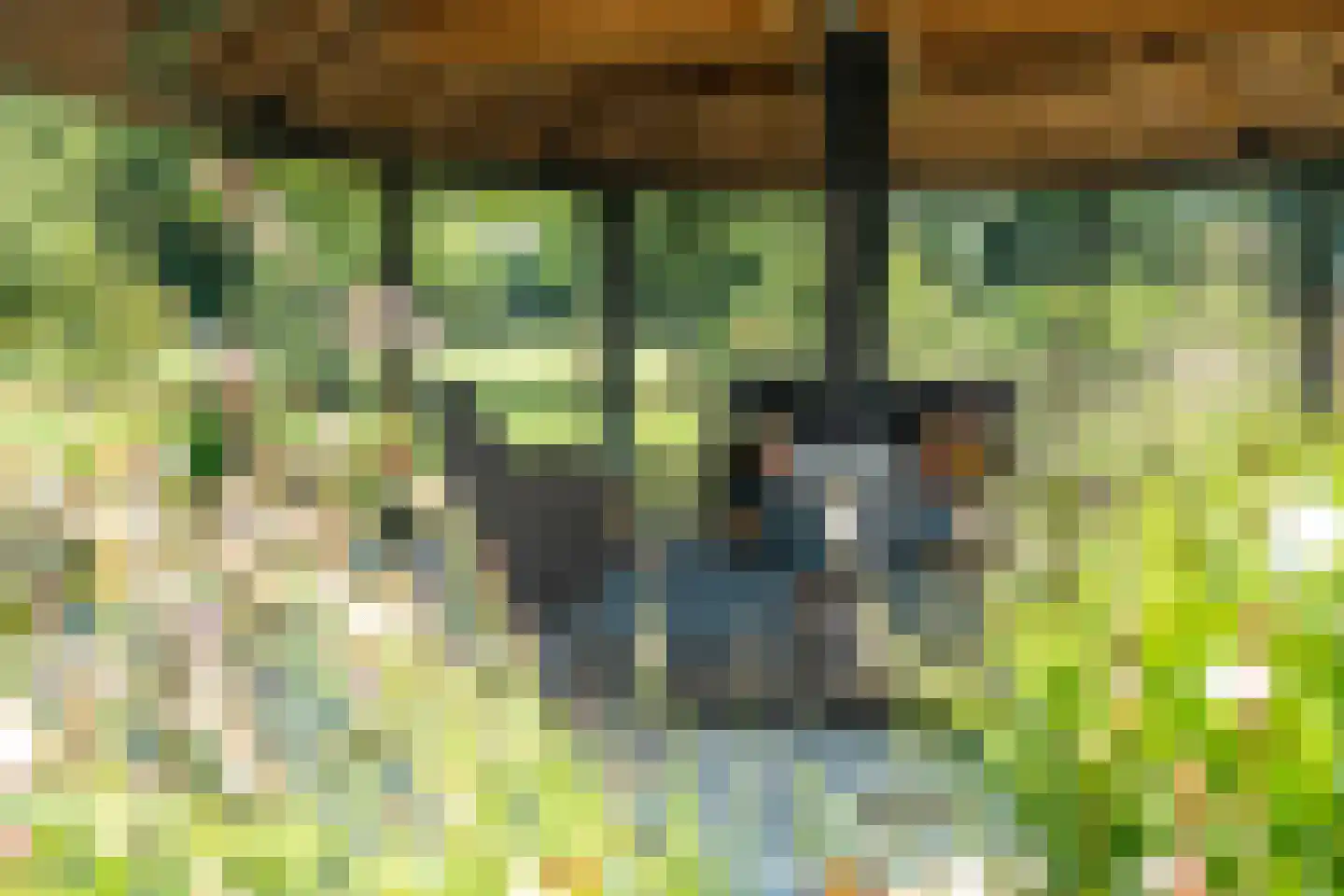 Binnenweg 10 A Nijeholtpade thumbnail 73