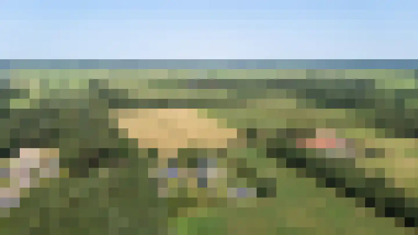 Binnenweg 10 A Nijeholtpade thumbnail 89