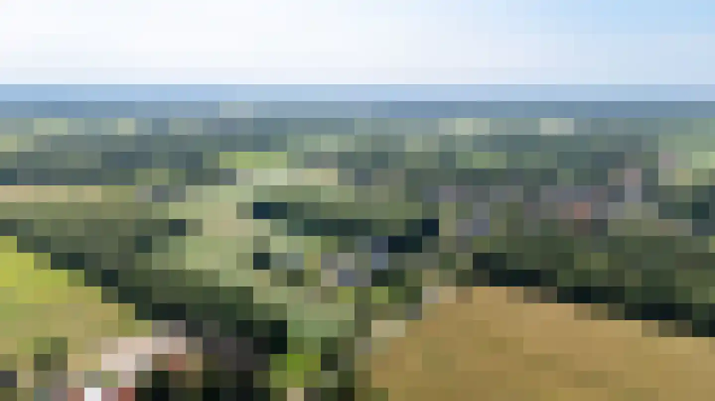 Binnenweg 10 A Nijeholtpade thumbnail 91