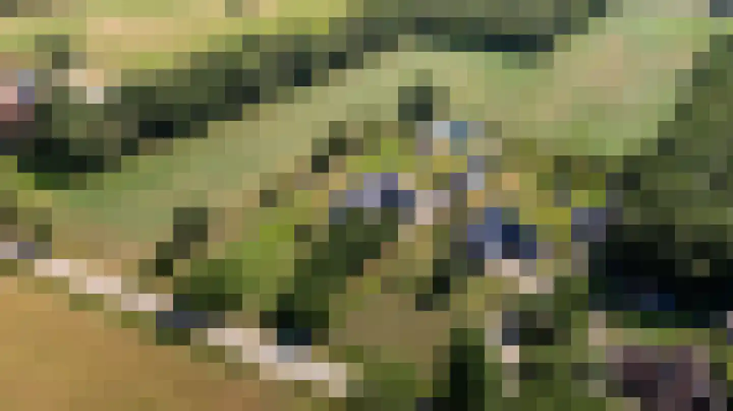 Binnenweg 10 A Nijeholtpade thumbnail 92