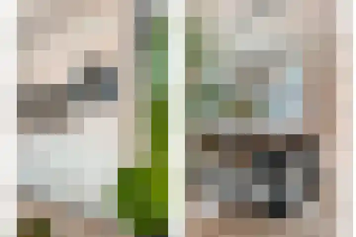 Binnenweg 10 Nijeveen thumbnail 11