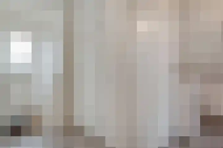 Binnenweg 10 Nijeveen thumbnail 15