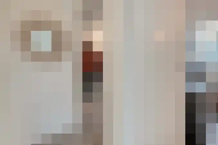 Binnenweg 10 Nijeveen thumbnail 16