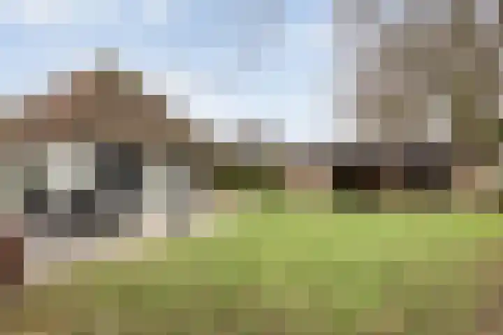 Binnenweg 10 Nijeveen thumbnail 26