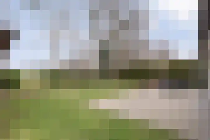 Binnenweg 10 Nijeveen thumbnail 27