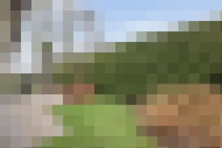 Binnenweg 10 Nijeveen thumbnail 32
