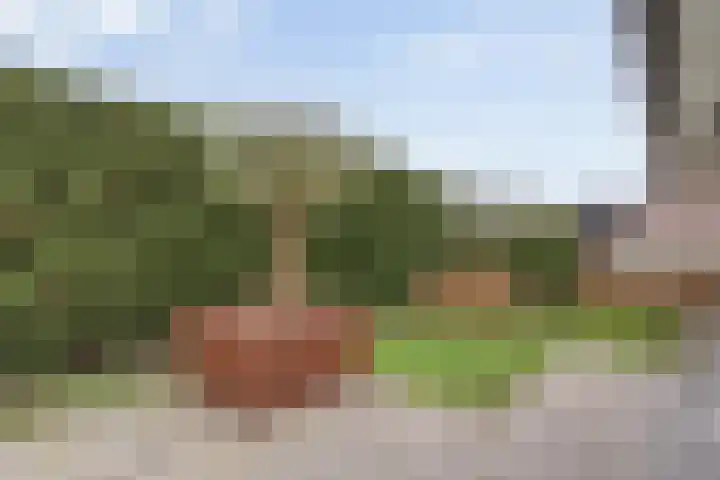 Binnenweg 10 Nijeveen thumbnail 33
