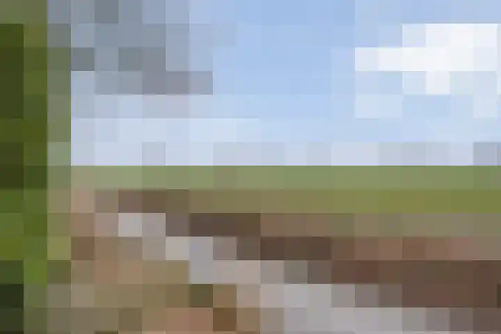 Binnenweg 10 Nijeveen thumbnail 34