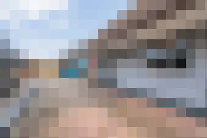 Binnenweg 10 Nijeveen thumbnail 37