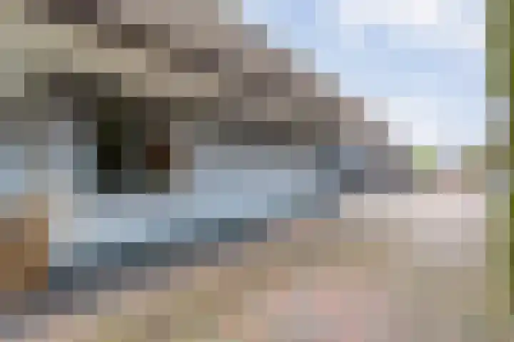 Binnenweg 10 Nijeveen thumbnail 38
