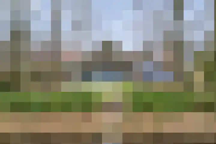 Binnenweg 10 Nijeveen thumbnail 4