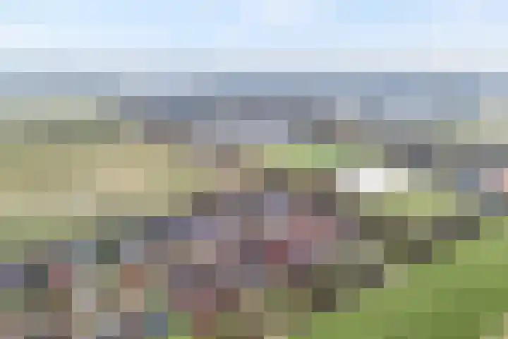 Binnenweg 10 Nijeveen thumbnail 40