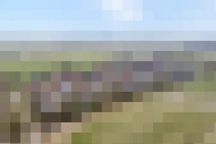 Binnenweg 10 Nijeveen thumbnail 41