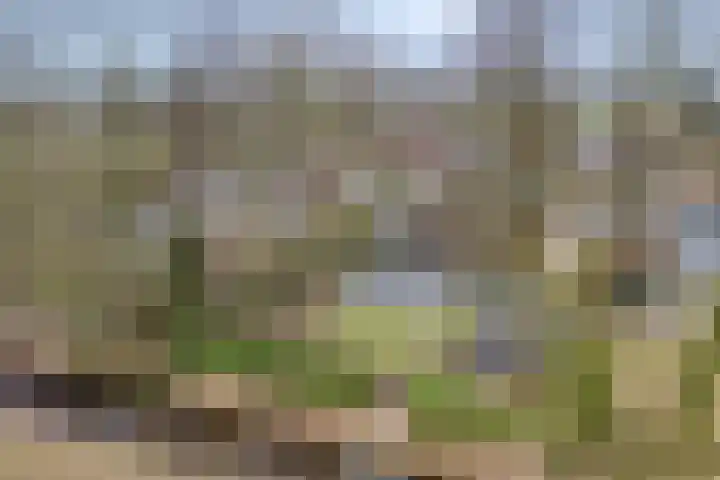 Binnenweg 10 Nijeveen thumbnail 42