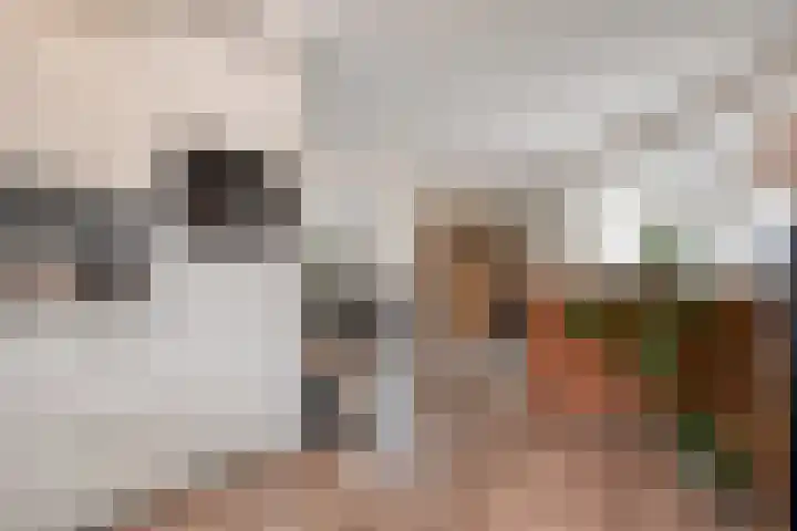 Binnenweg 10 Nijeveen thumbnail 9