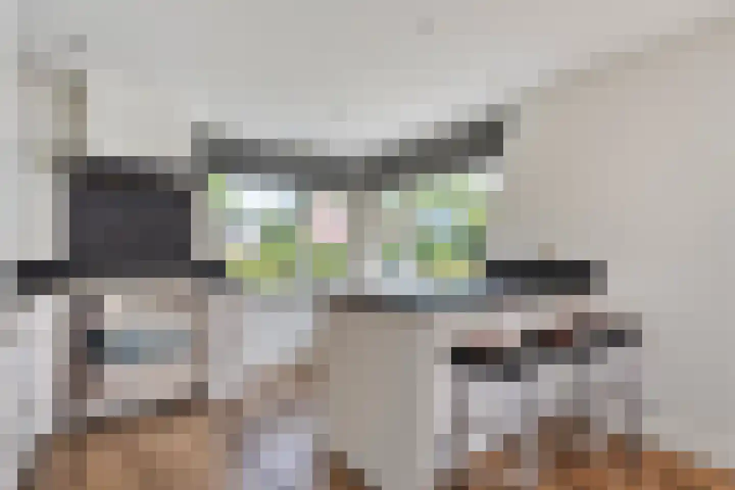 Binnenweg 104 Nijeveen thumbnail 10