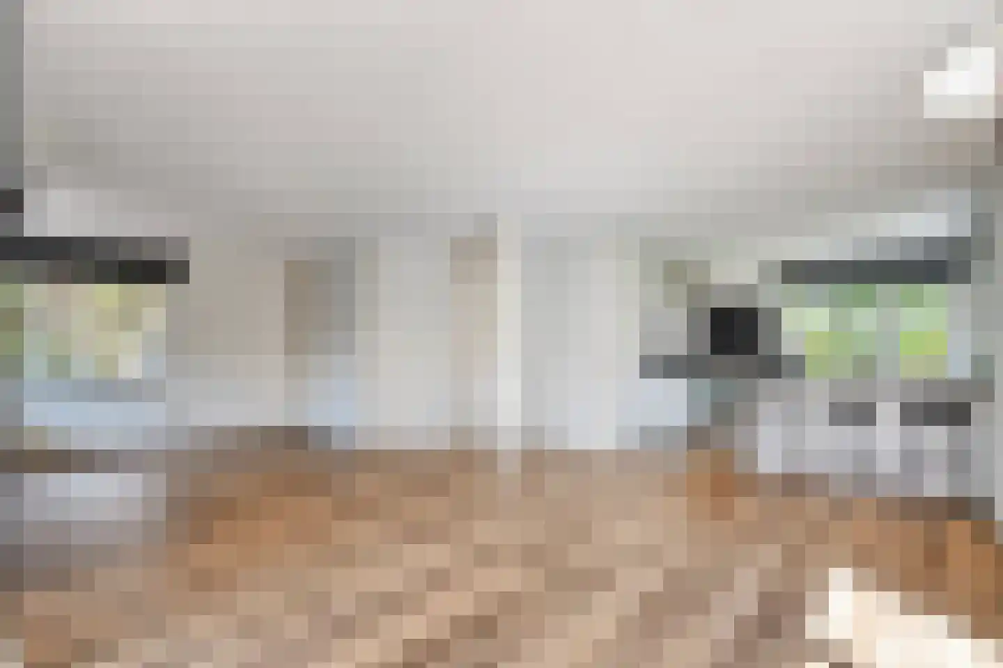 Binnenweg 104 Nijeveen thumbnail 9