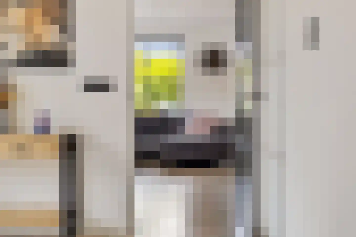Binnenweg 11 Bierum thumbnail 10