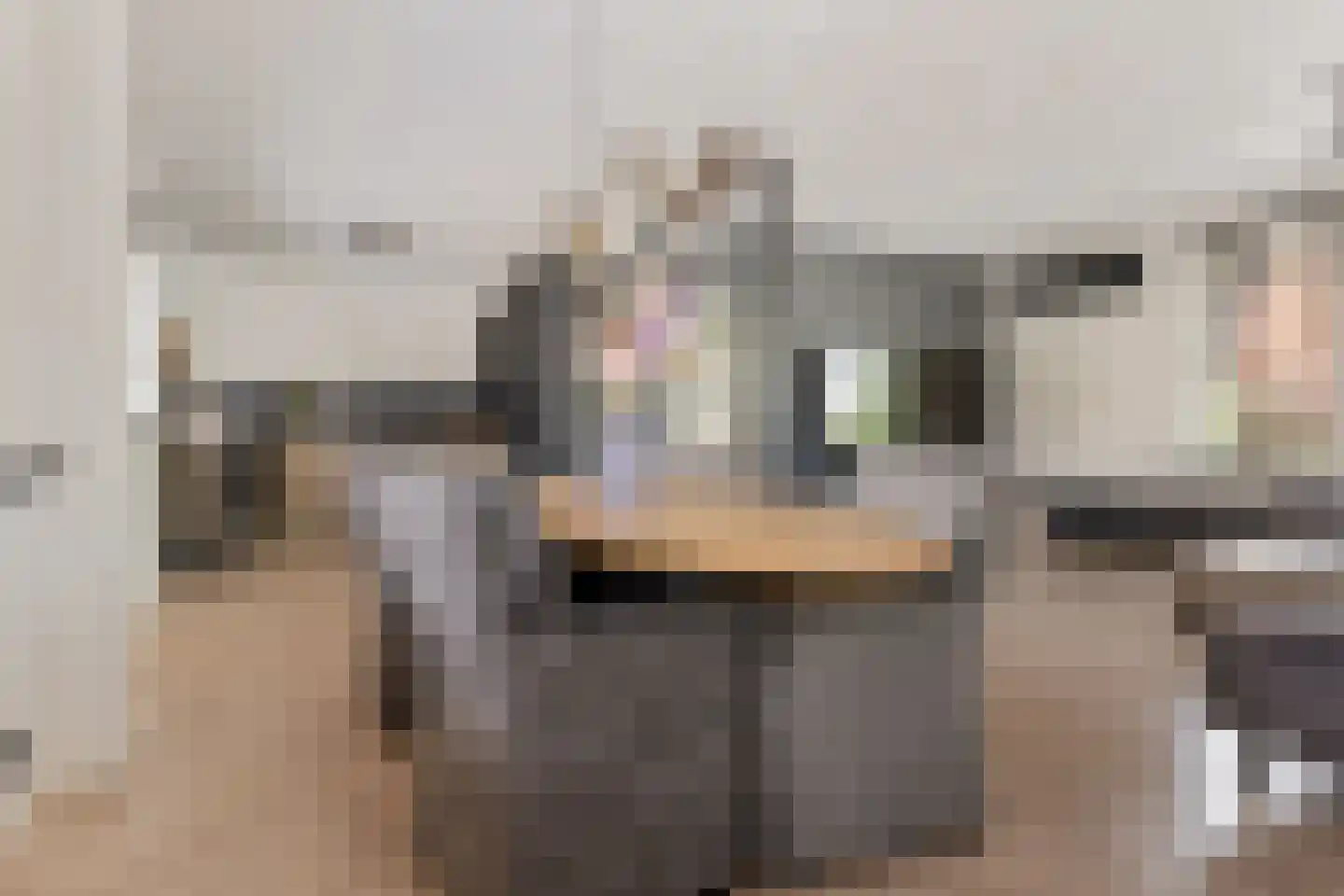 Binnenweg 11 Bierum thumbnail 13