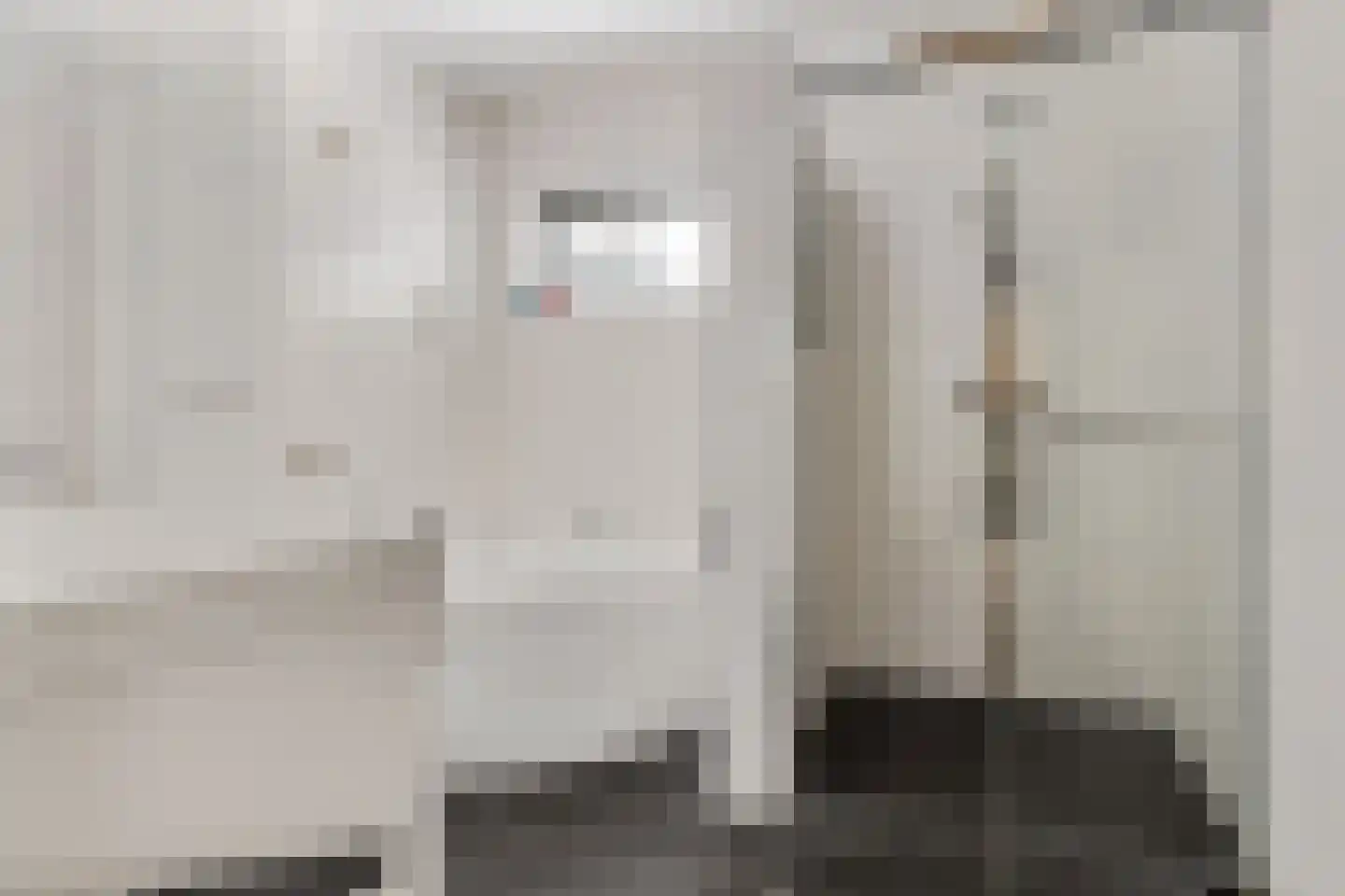 Binnenweg 11 Bierum thumbnail 18