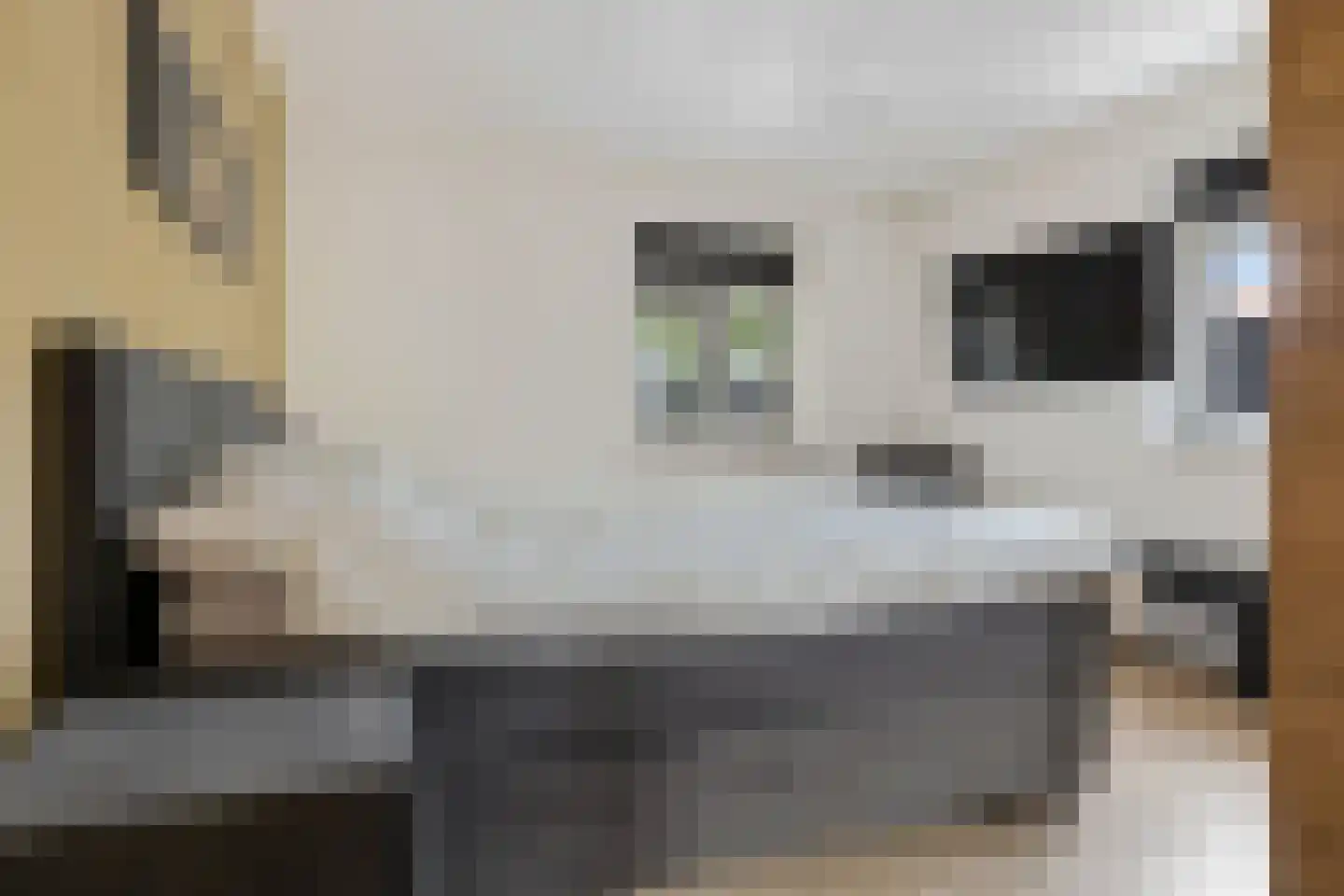 Binnenweg 11 Bierum thumbnail 20
