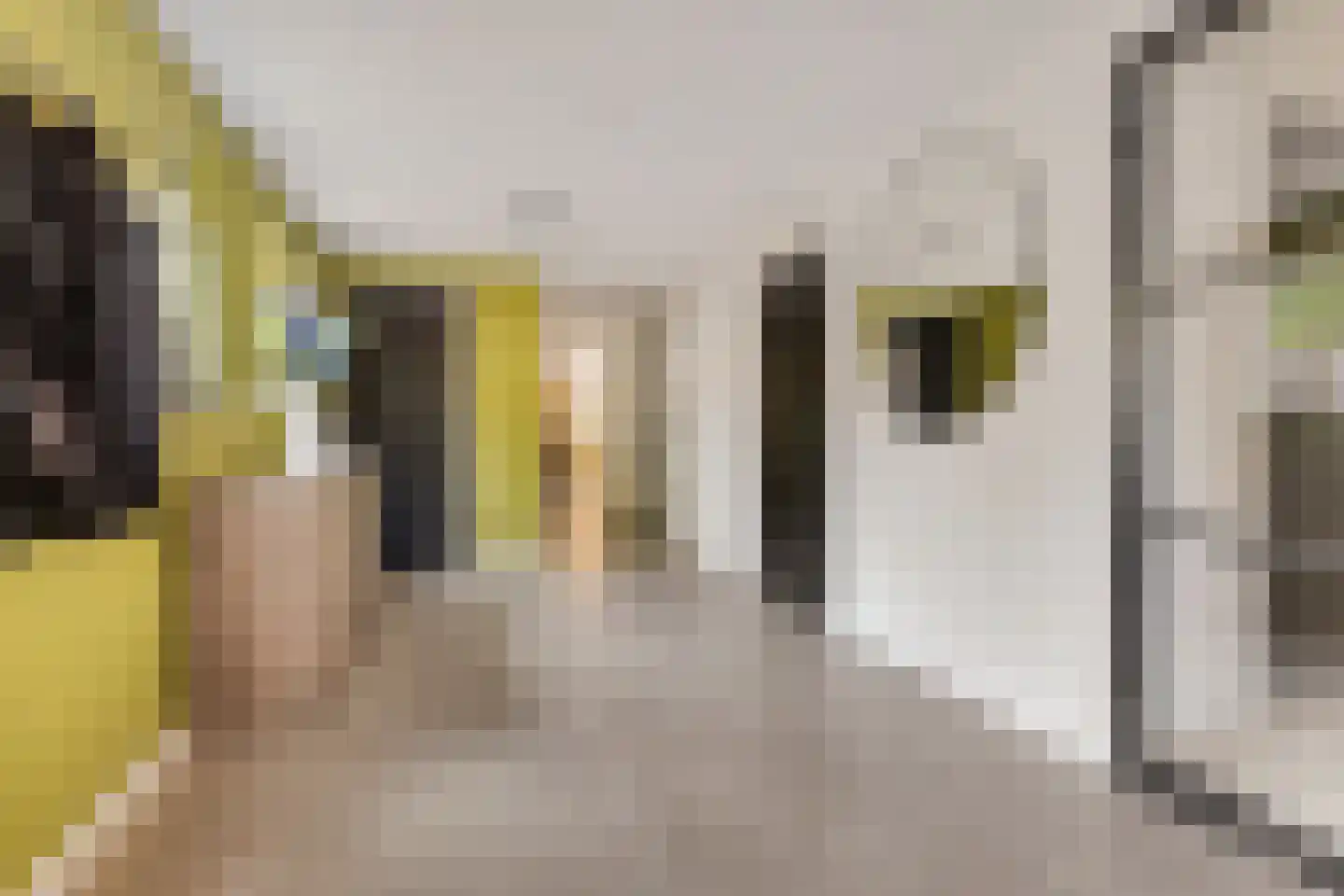 Binnenweg 11 Bierum thumbnail 22