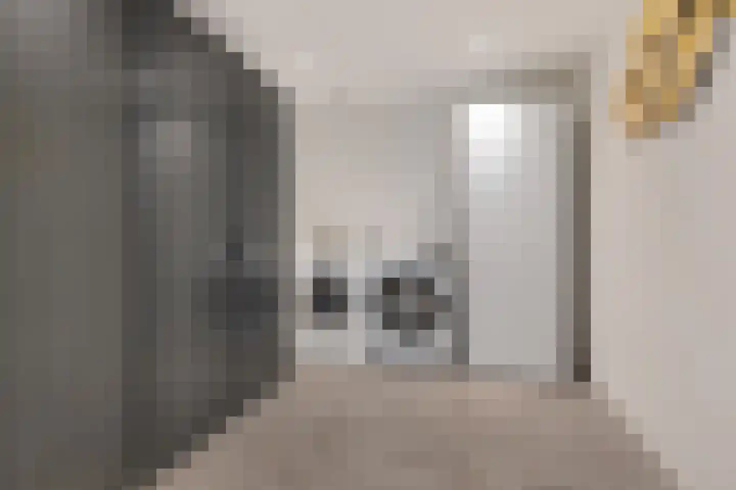 Binnenweg 11 Bierum thumbnail 24