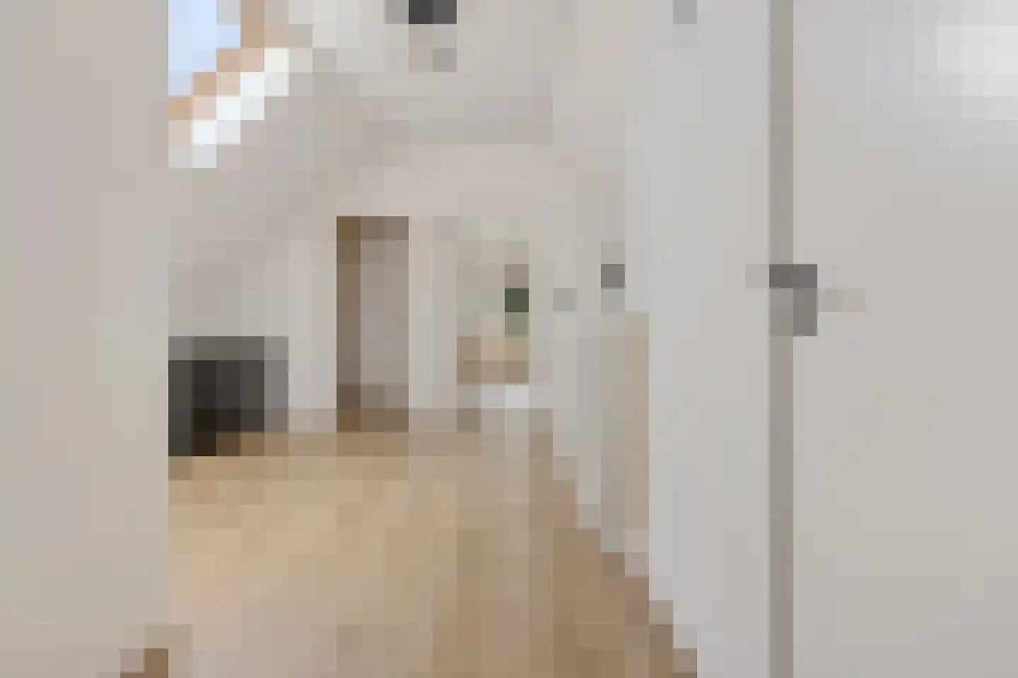 Binnenweg 11 Bierum thumbnail 30