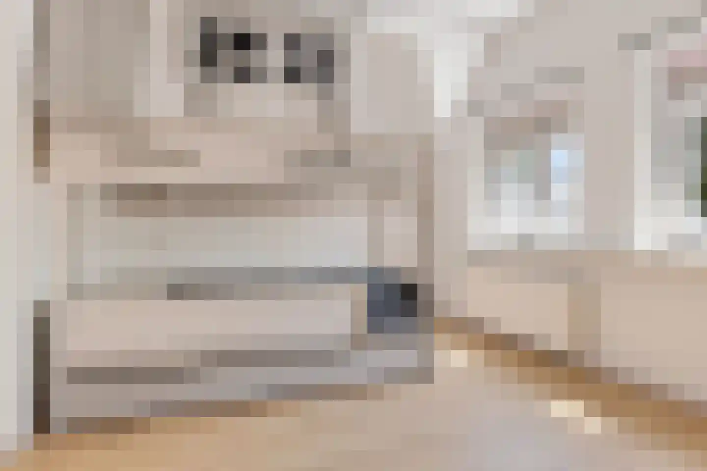 Binnenweg 11 Bierum thumbnail 31