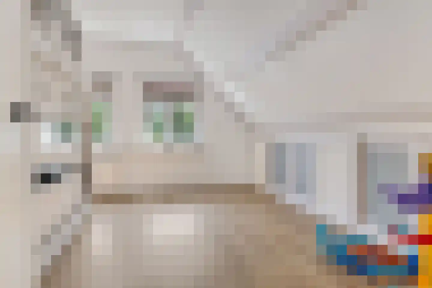 Binnenweg 11 Bierum thumbnail 33