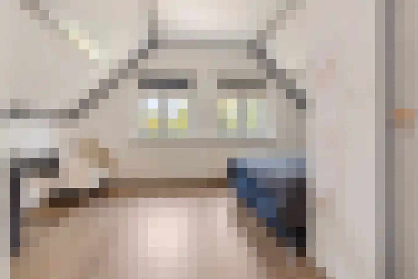 Binnenweg 11 Bierum thumbnail 34