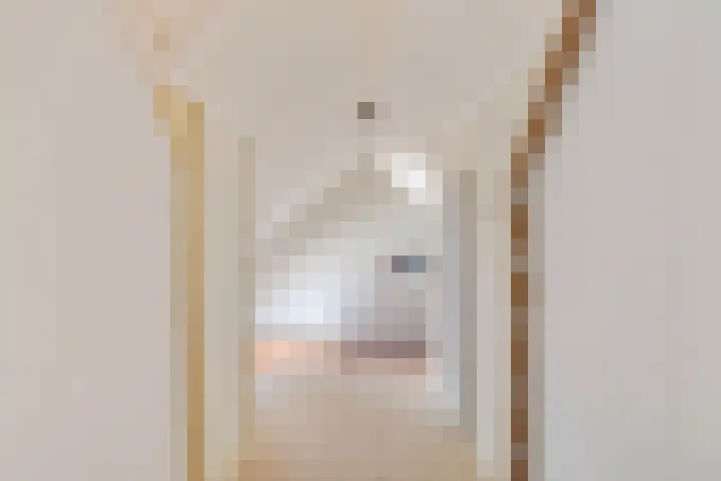 Binnenweg 11 Bierum thumbnail 36