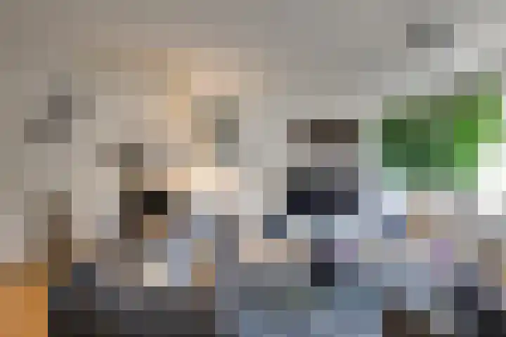 Binnenweg 11 Leidschendam thumbnail 10
