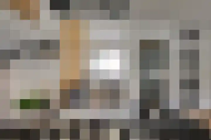 Binnenweg 11 Leidschendam thumbnail 11