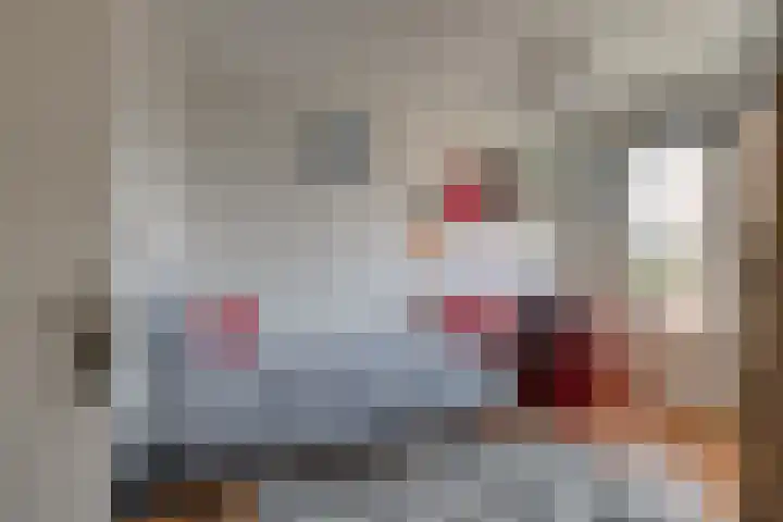 Binnenweg 11 Leidschendam thumbnail 15