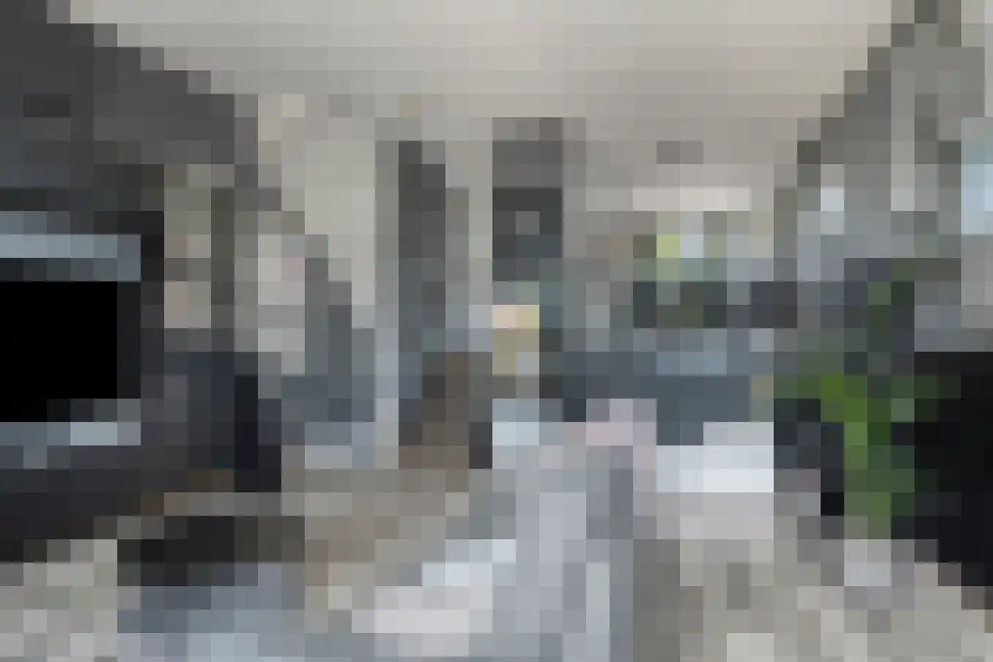 Binnenweg 11 Zoetermeer thumbnail 10