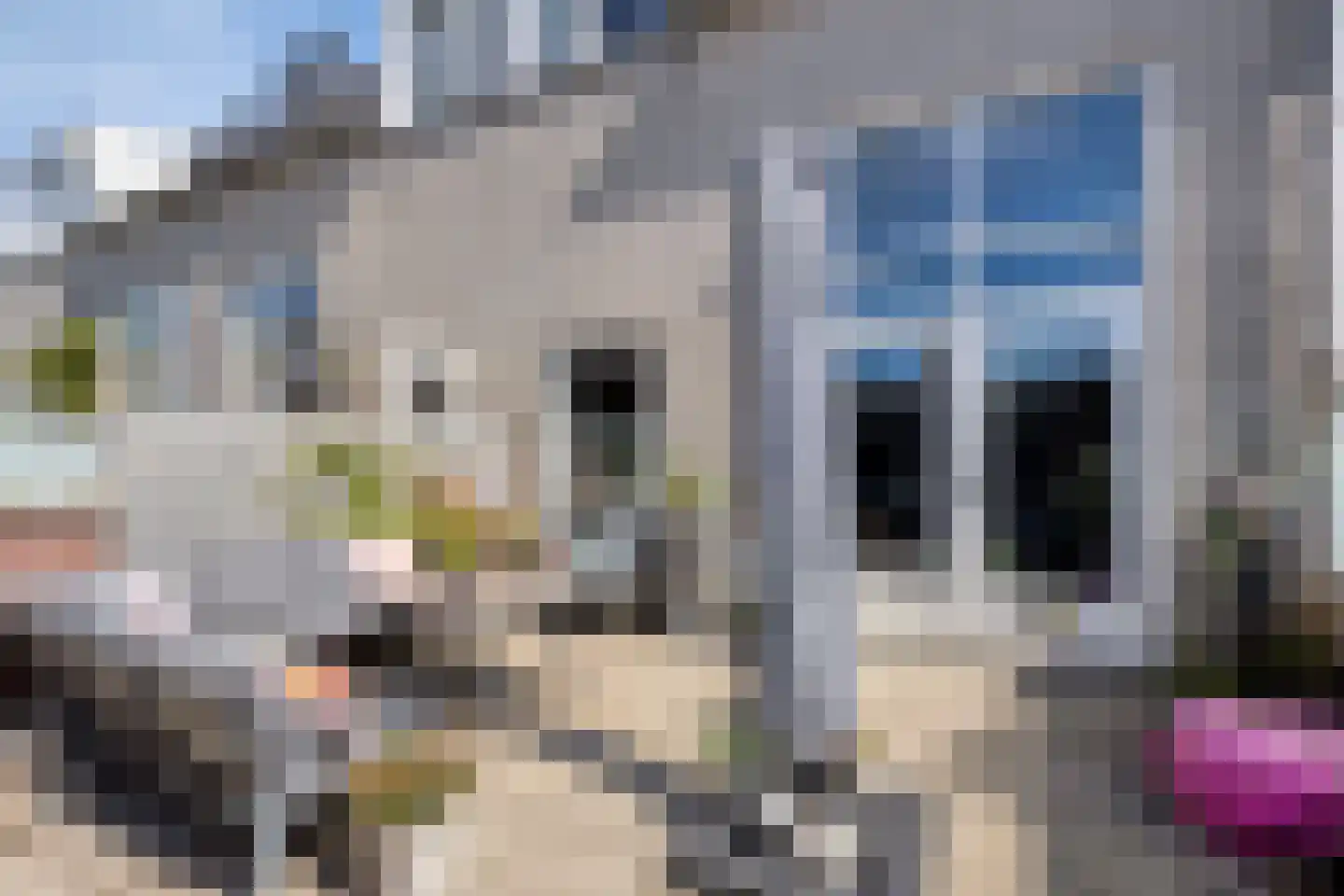 Binnenweg 11 Zoetermeer thumbnail 33