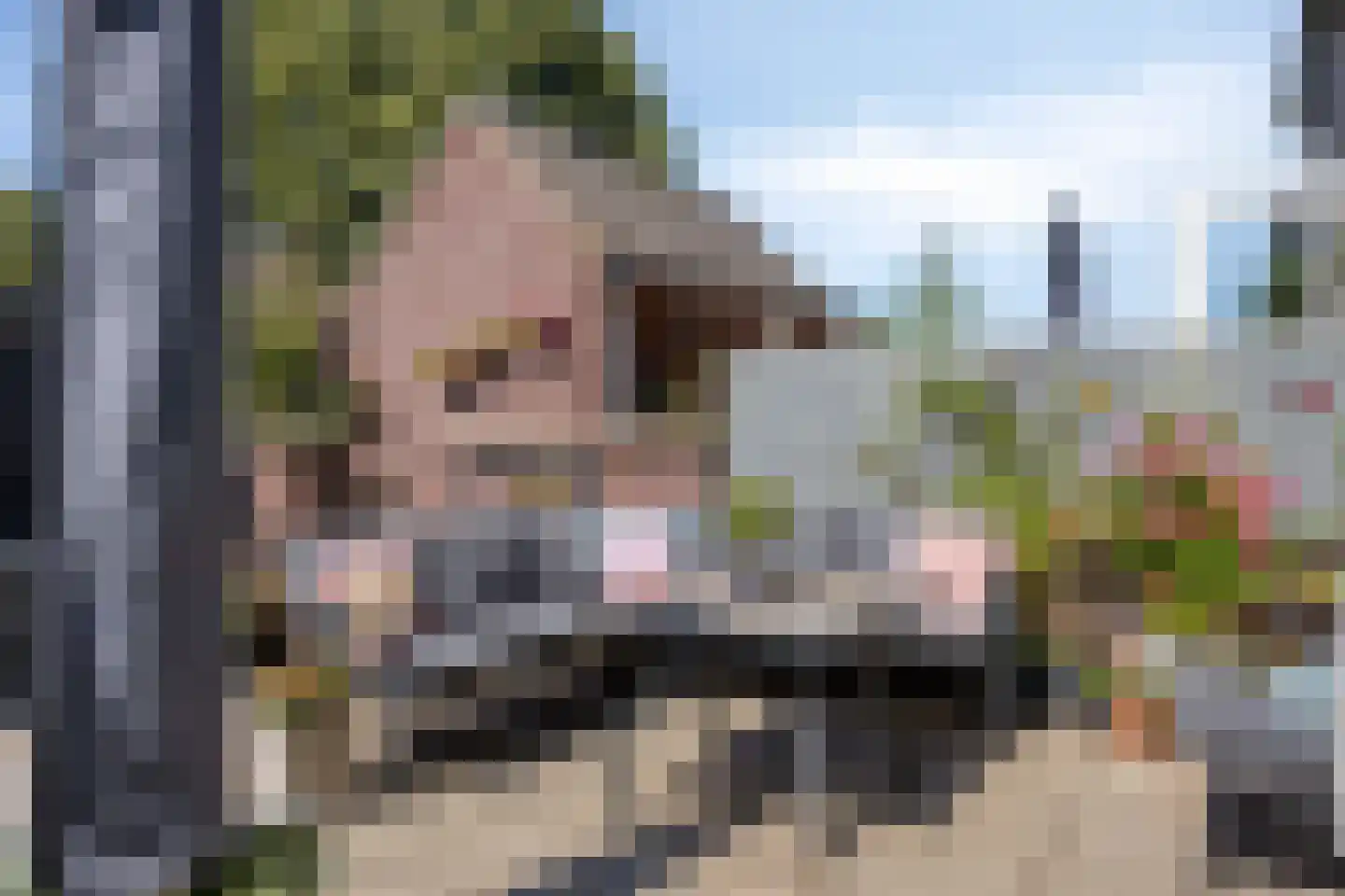 Binnenweg 11 Zoetermeer thumbnail 34
