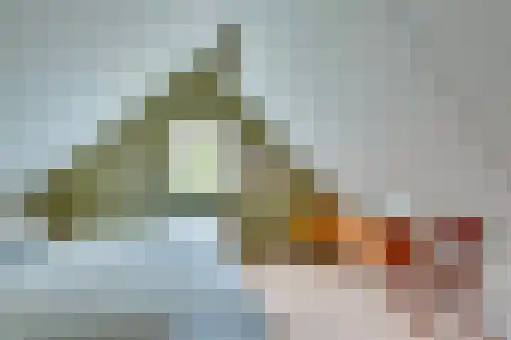 Binnenweg 12 10 Paasloo thumbnail 21