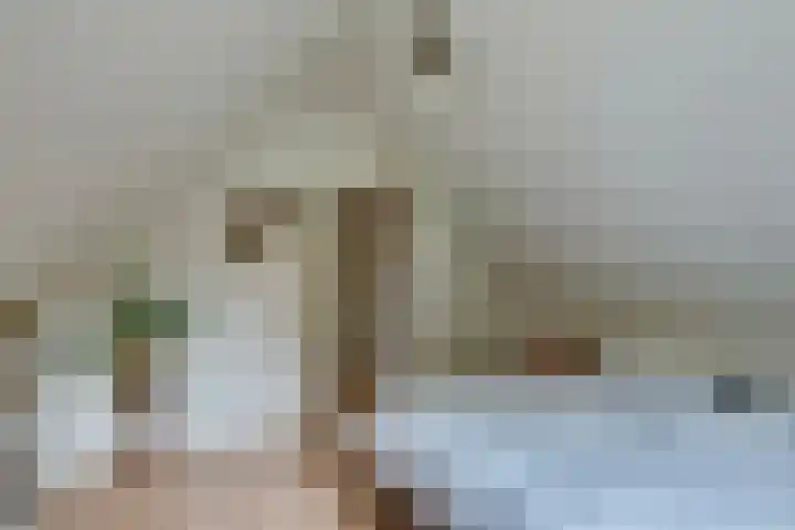 Binnenweg 12 10 Paasloo thumbnail 22