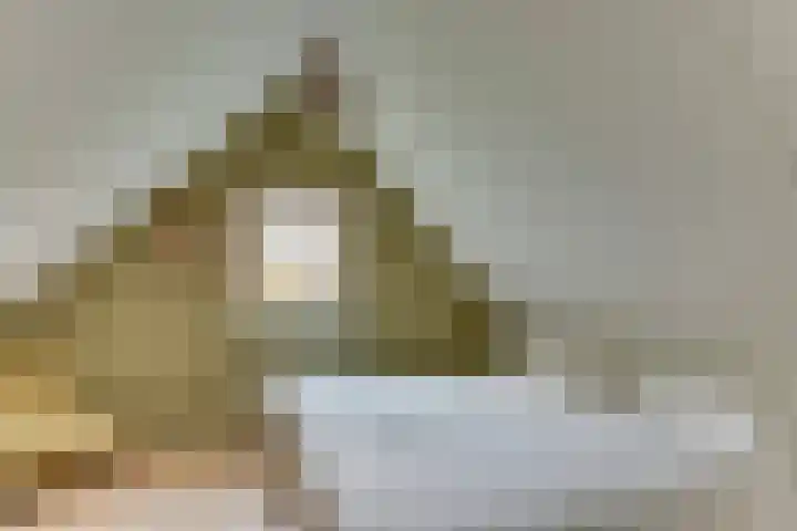 Binnenweg 12 10 Paasloo thumbnail 24