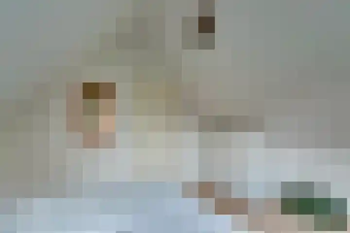 Binnenweg 12 10 Paasloo thumbnail 25