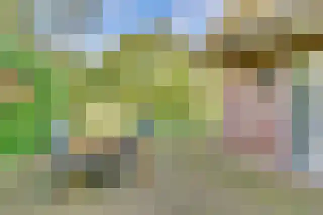 Binnenweg 12 10 Paasloo thumbnail 28