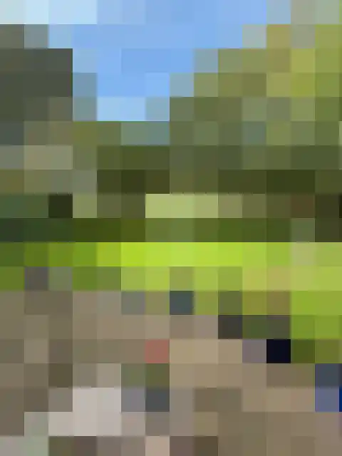 Binnenweg 12 10 Paasloo thumbnail 31
