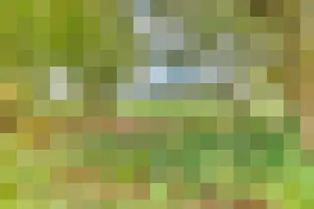 Binnenweg 12 10 Paasloo thumbnail 32