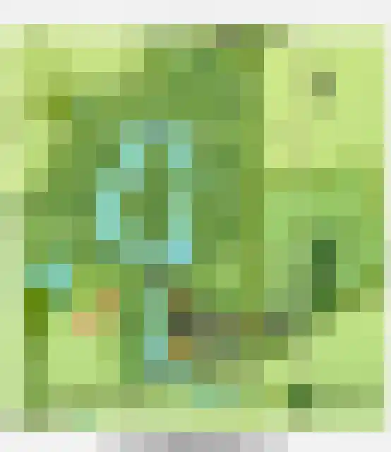 Binnenweg 12 10 Paasloo thumbnail 35