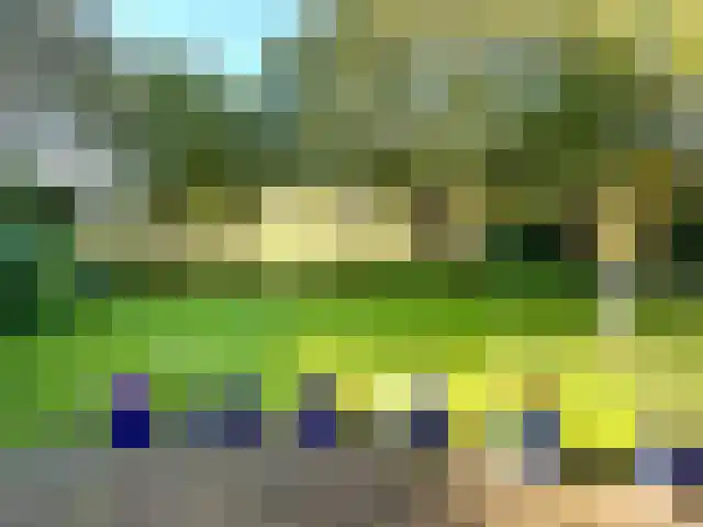 Binnenweg 12 10 Paasloo thumbnail 4