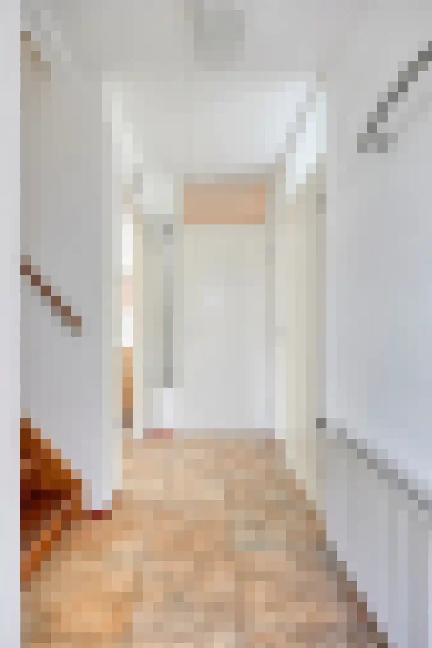 Binnenweg 12 68 Paasloo thumbnail 12