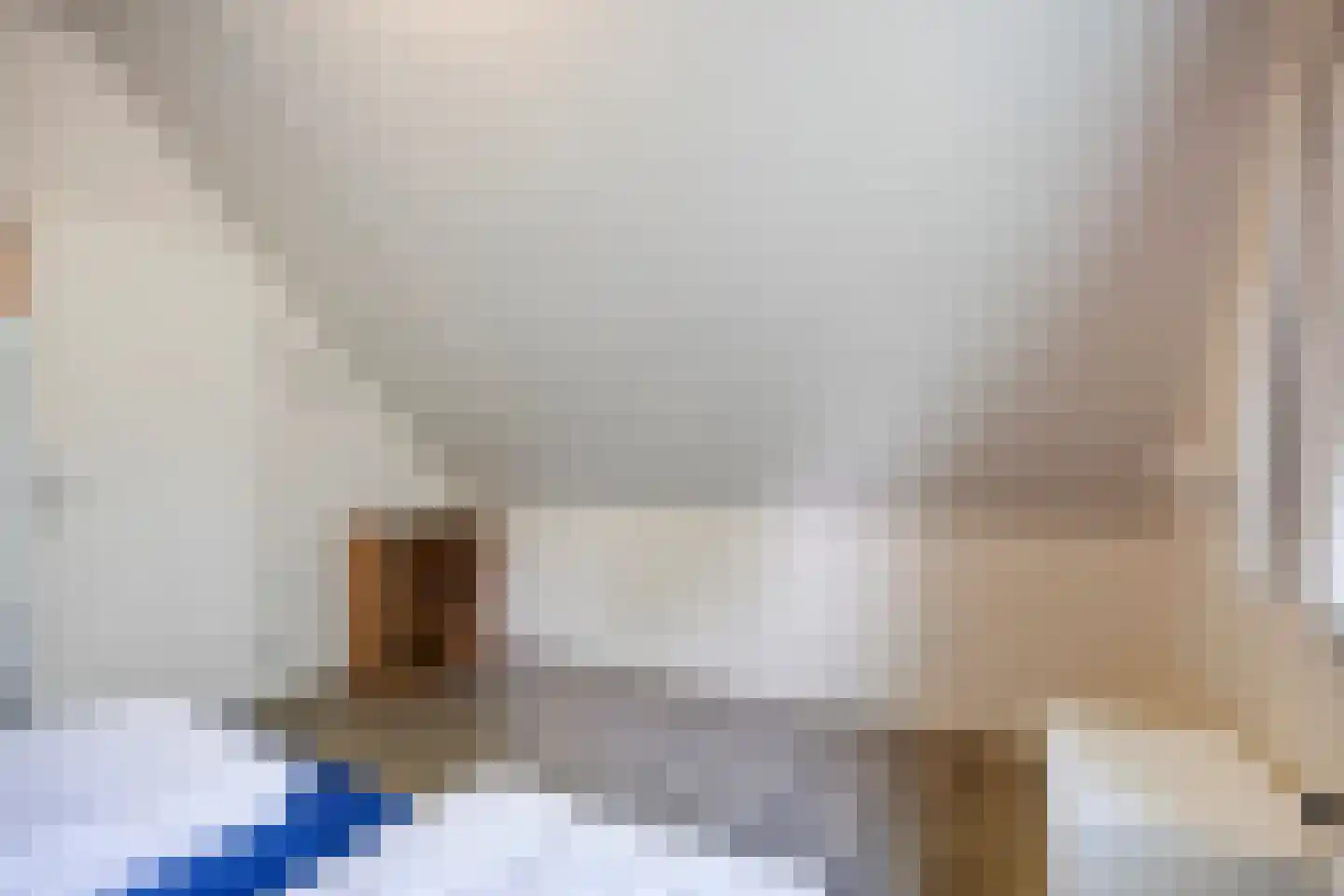 Binnenweg 12 68 Paasloo thumbnail 17